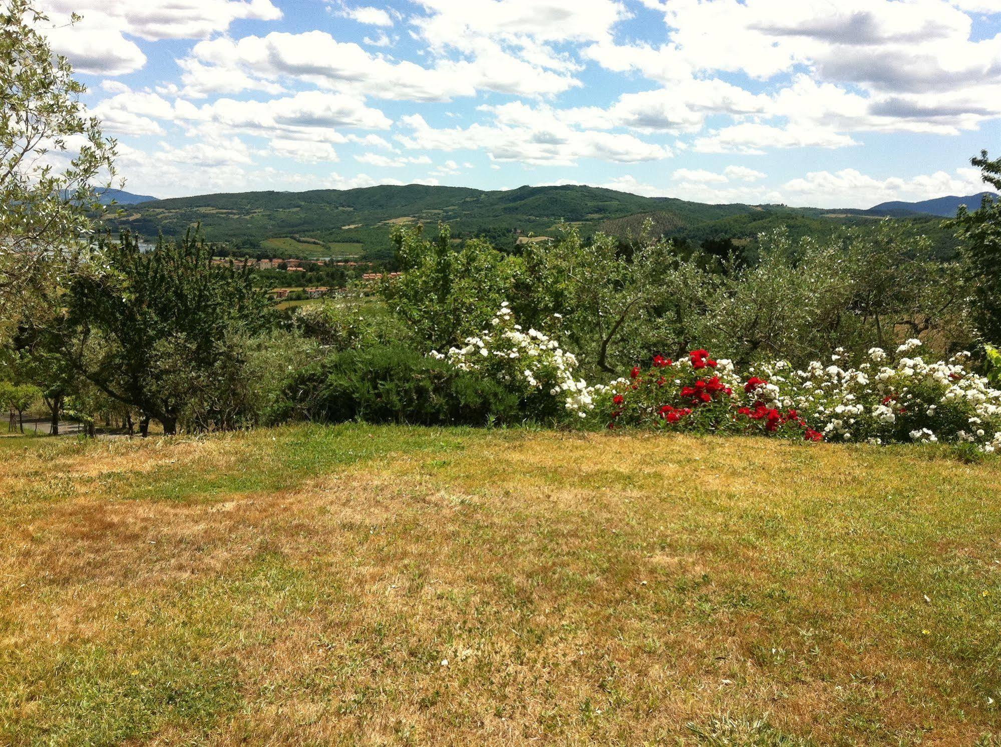 Poggio Agli Ulivi Villa Barberino di Mugello Luaran gambar